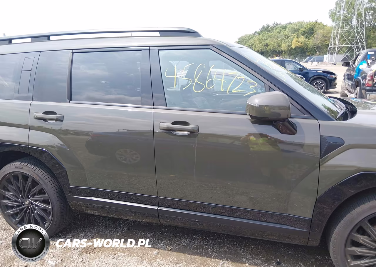 2025 Hyundai Santa Fe Calligraphy VIN:5NMP5DGL7SH111686 - 14