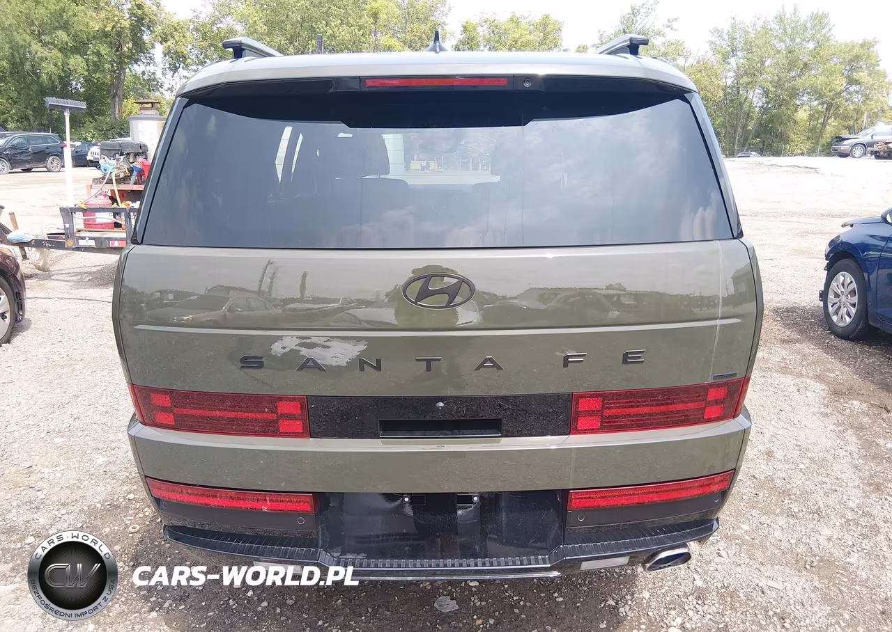 2025 Hyundai Santa Fe Calligraphy VIN:5NMP5DGL7SH111686 - 17