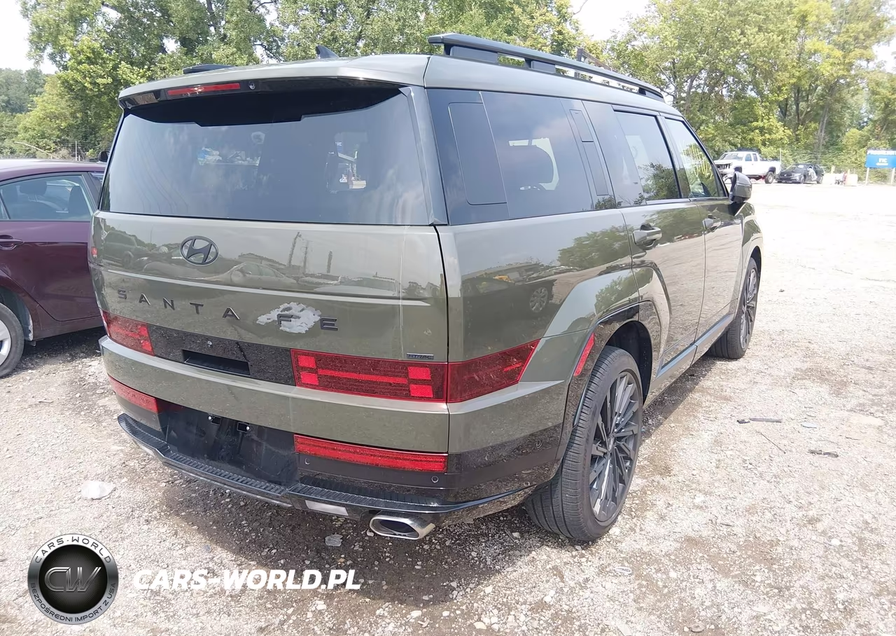 2025 Hyundai Santa Fe Calligraphy VIN:5NMP5DGL7SH111686 - 4