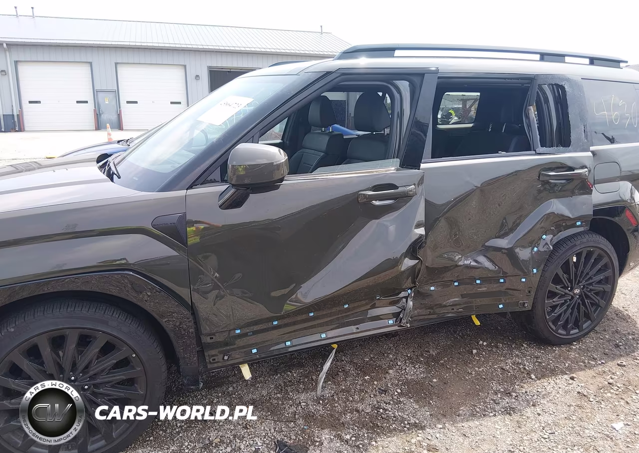 2025 Hyundai Santa Fe Calligraphy VIN:5NMP5DGL7SH111686 - 6