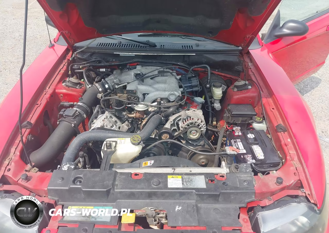 2004 Ford Mustang VIN:1FAFP40604F242071 - 10