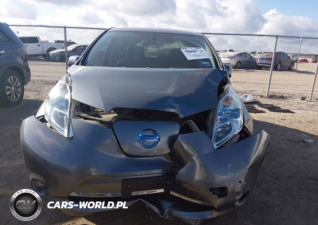 2015 Nissan Leaf Sl VIN:1N4AZ0CP0FC300184 - 12