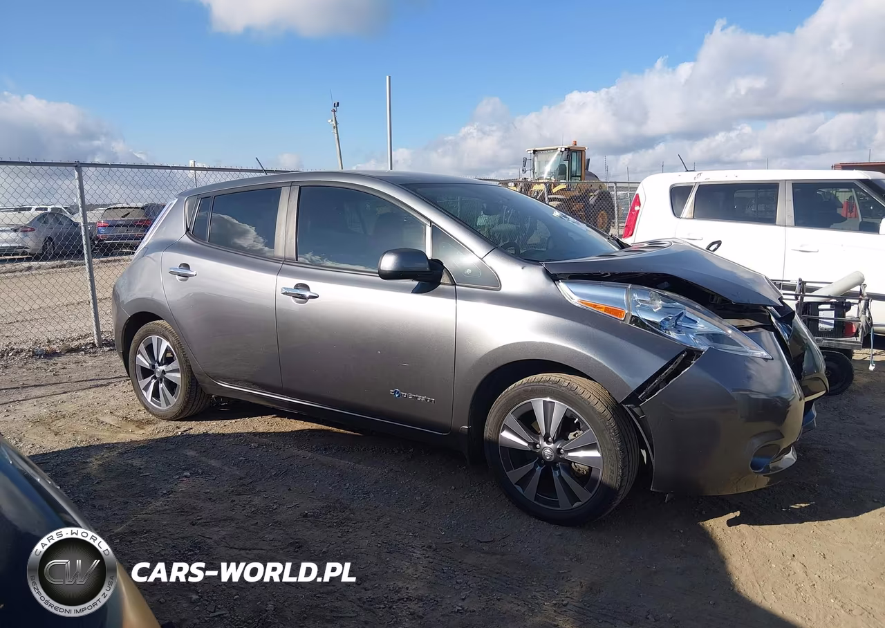 2015 Nissan Leaf Sl VIN:1N4AZ0CP0FC300184 - 13