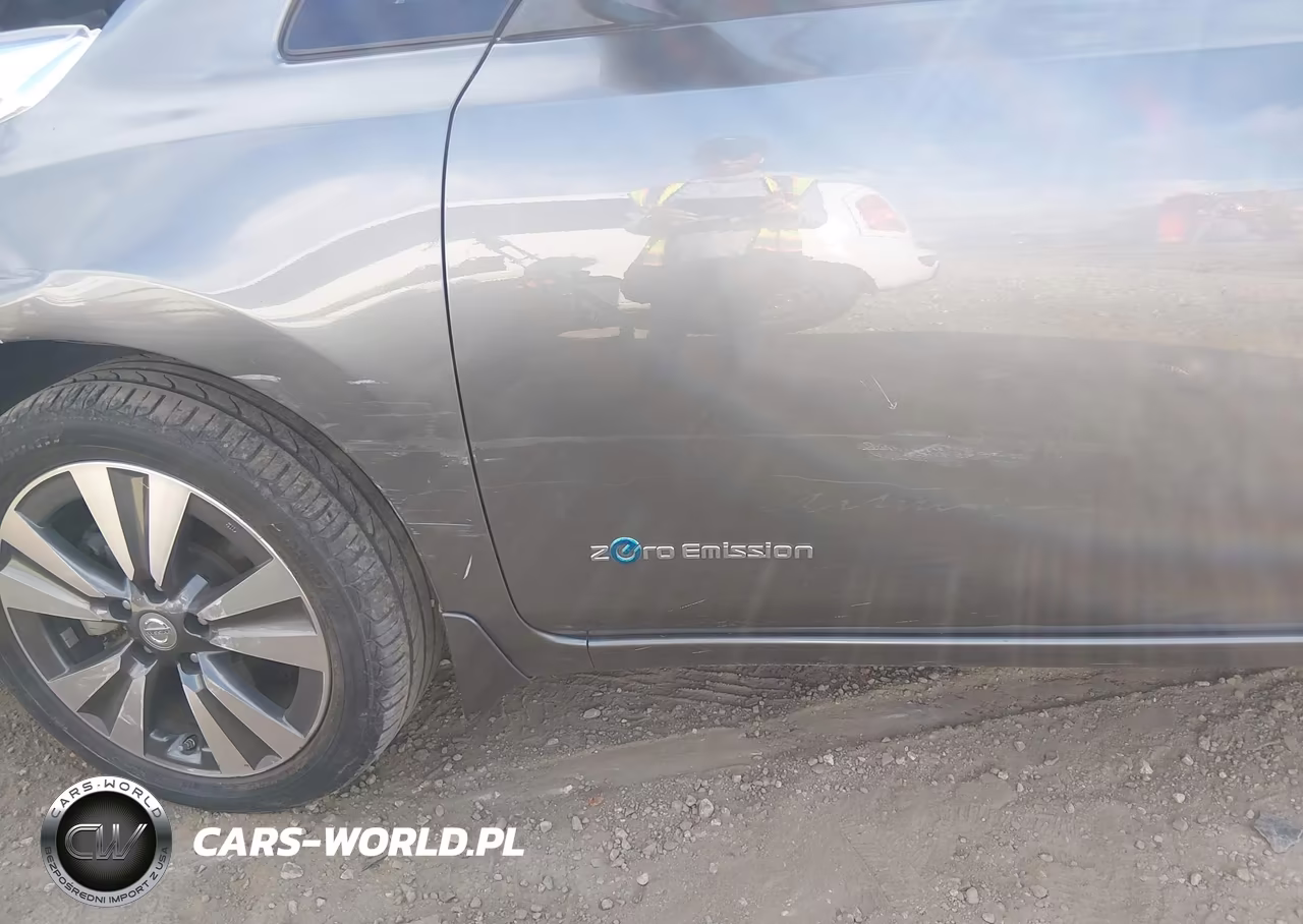 2015 Nissan Leaf Sl VIN:1N4AZ0CP0FC300184 - 6