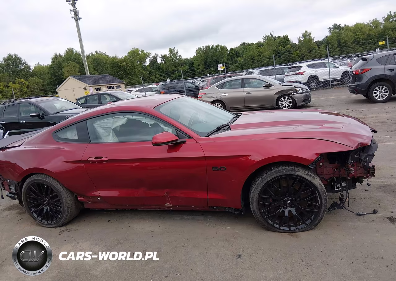 2015 Ford Mustang Gt Premium VIN:1FA6P8CF2F5406335 - 13