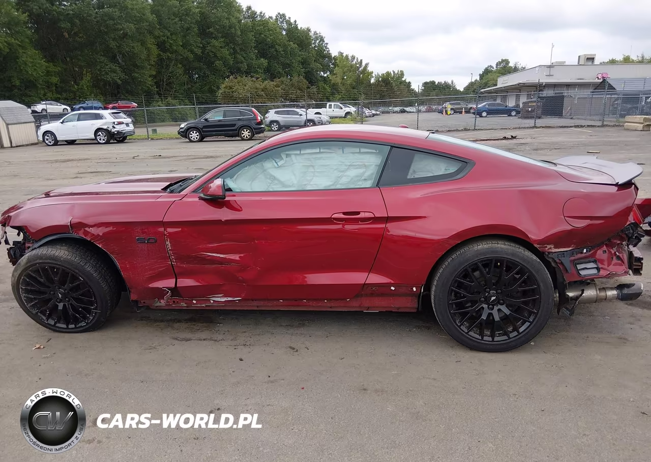 2015 Ford Mustang Gt Premium VIN:1FA6P8CF2F5406335 - 14