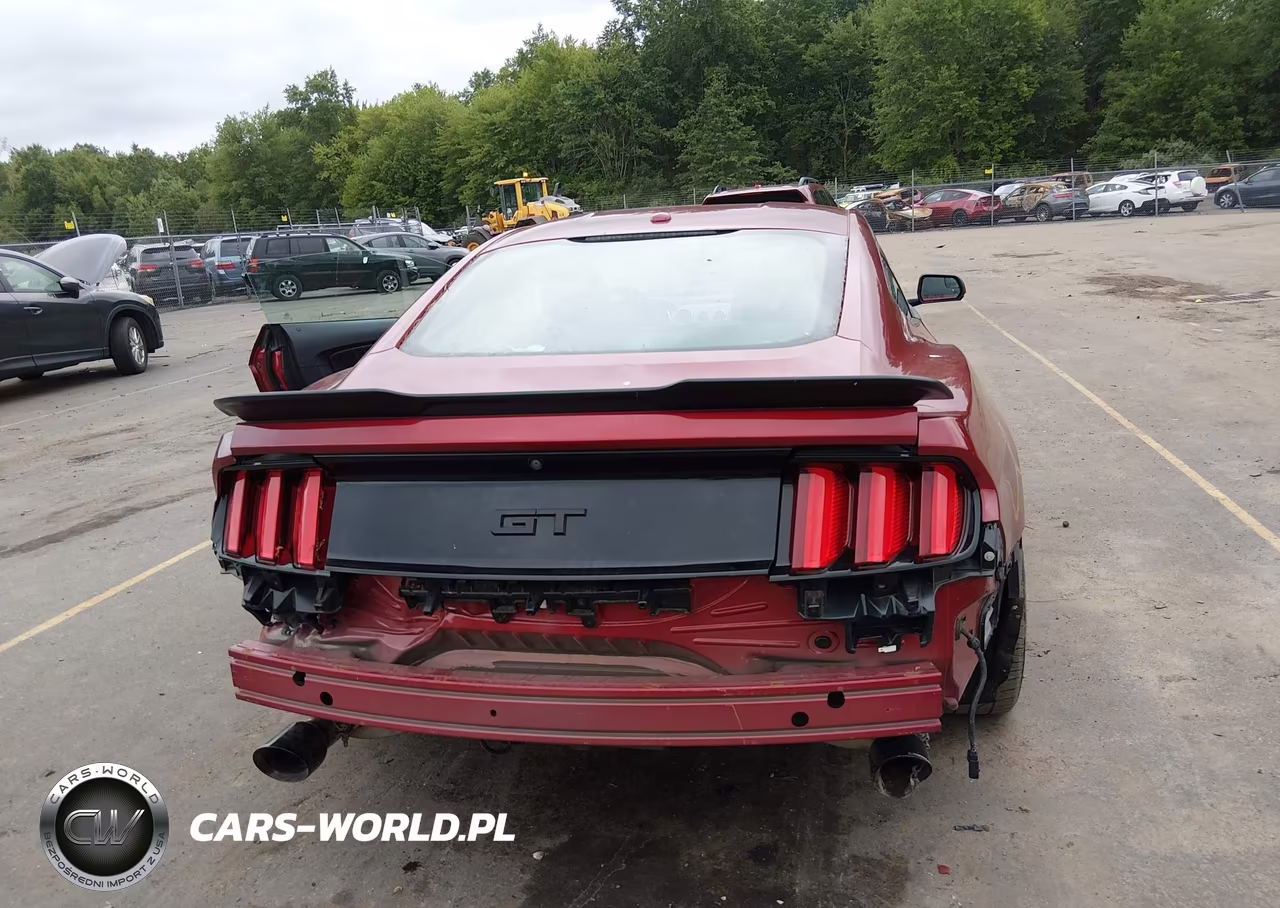 2015 Ford Mustang Gt Premium VIN:1FA6P8CF2F5406335 - 16