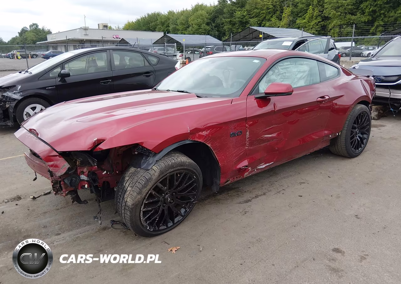 2015 Ford Mustang Gt Premium VIN:1FA6P8CF2F5406335 - 2