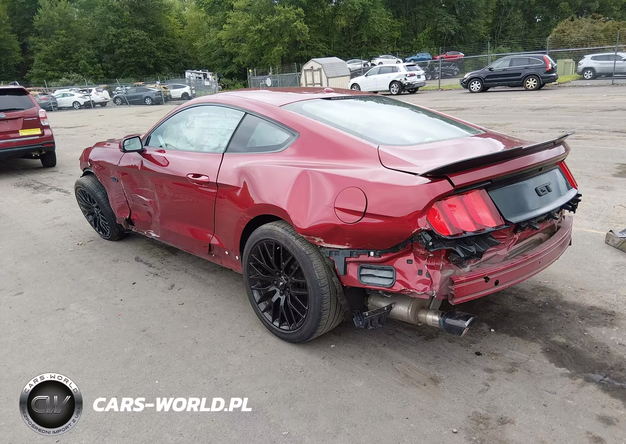 2015 Ford Mustang Gt Premium VIN:1FA6P8CF2F5406335 - 3