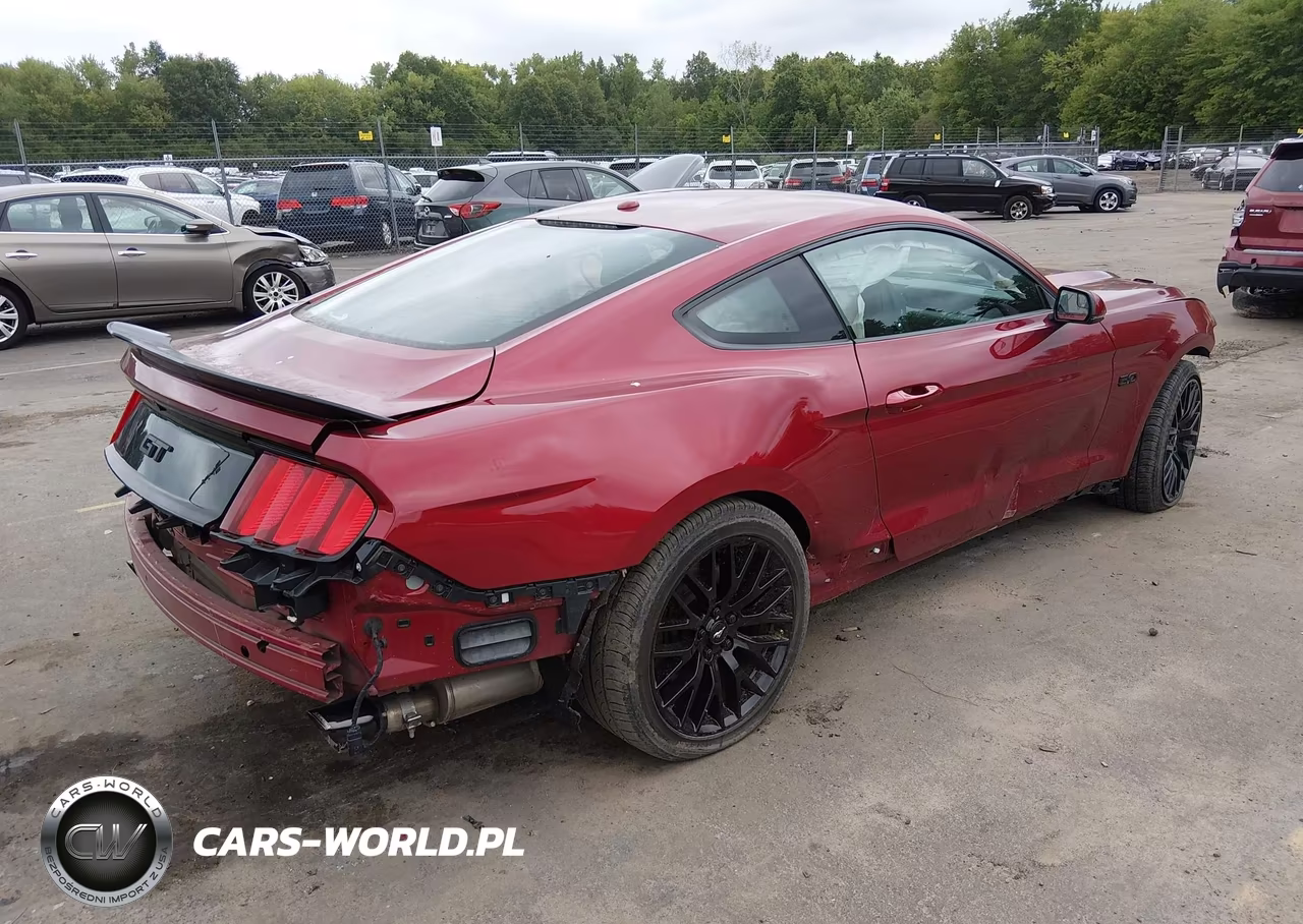 2015 Ford Mustang Gt Premium VIN:1FA6P8CF2F5406335 - 4