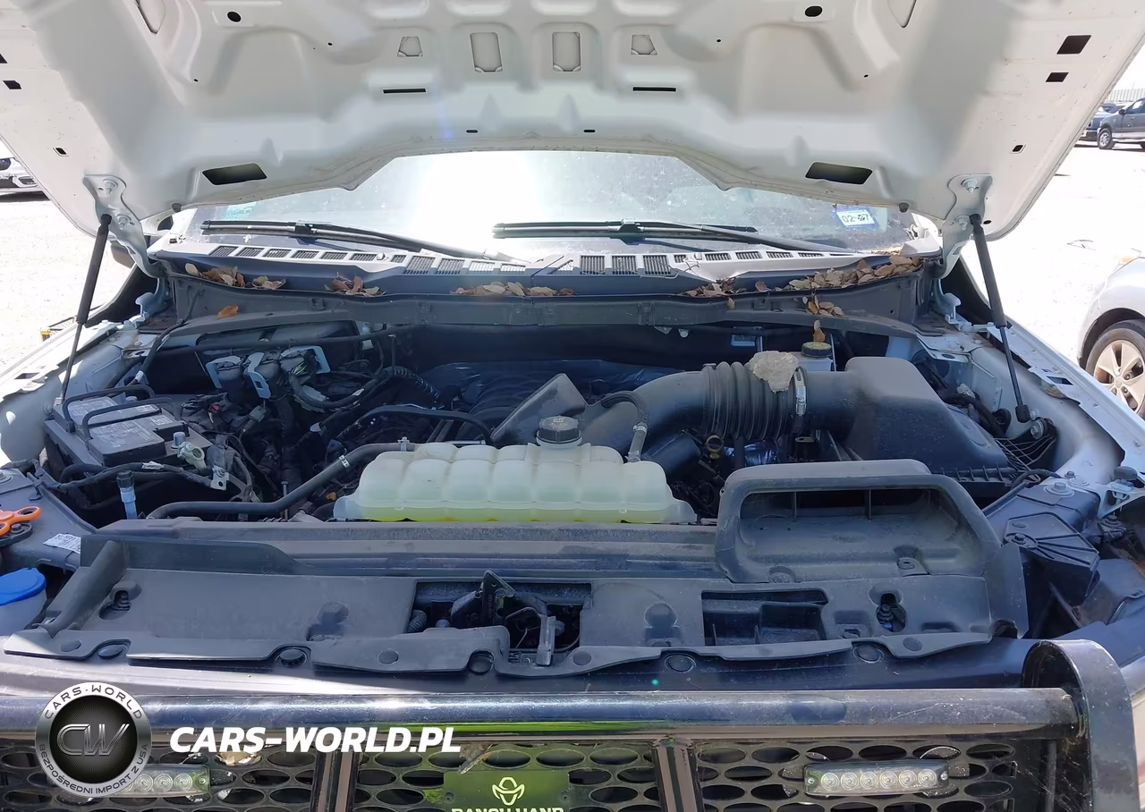 2024 Ford F-150 Xl VIN:1FTFW1L59RKF32595 - 10