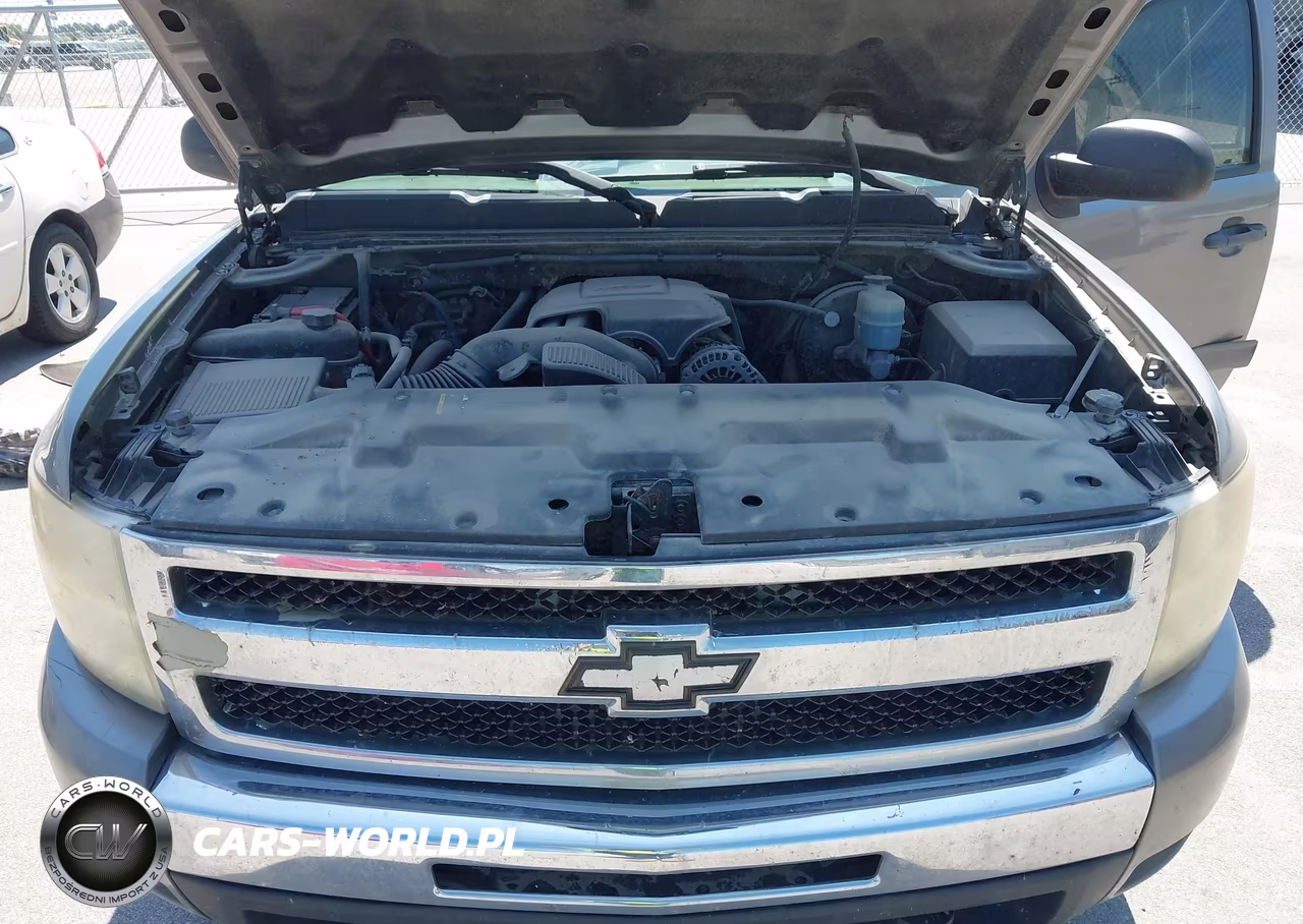 2009 Chevrolet Silverado 1500 Lt VIN:3GCEK23339G259253 - 10