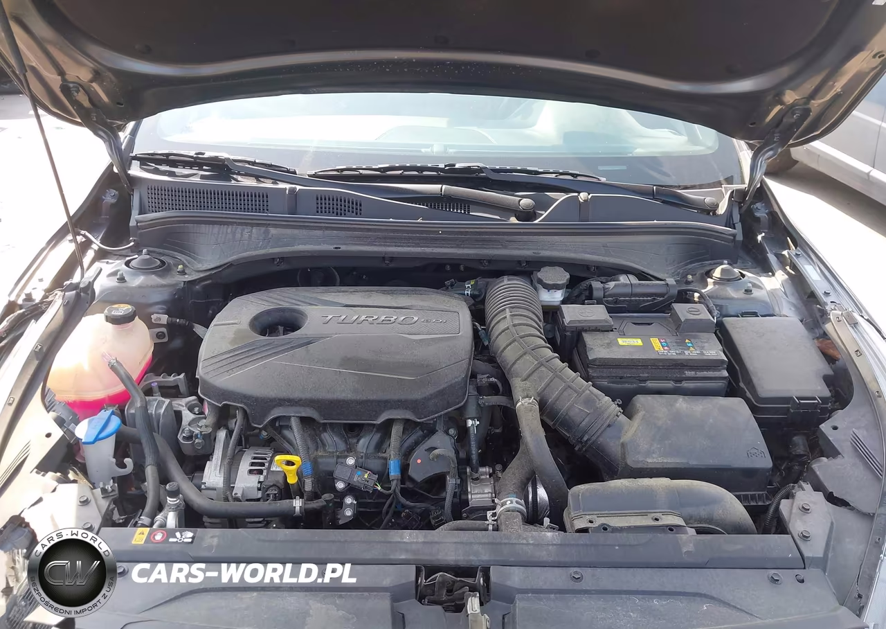 2024 Kia Forte Gt VIN:3KPF44AC8RE784575 - 10