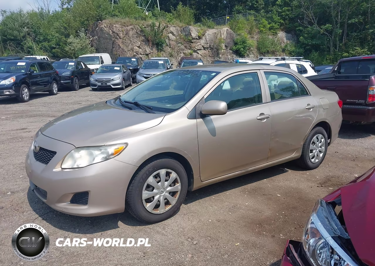 2010 Toyota Corolla Le VIN:2T1BU4EE4AC263933 - 2