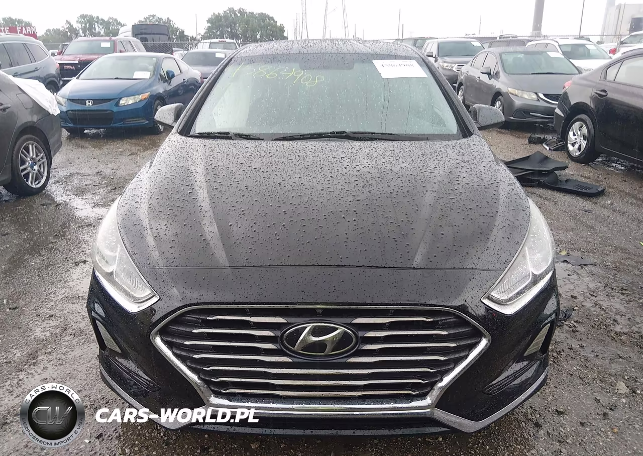 2019 Hyundai Sonata Se VIN:5NPE24AF7KH743626 - 12
