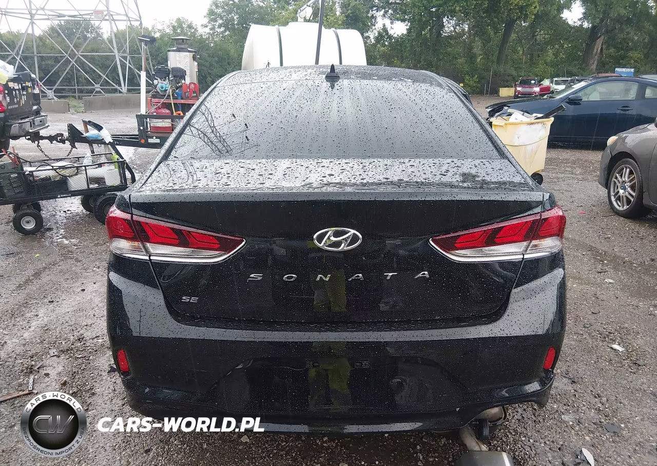 2019 Hyundai Sonata Se VIN:5NPE24AF7KH743626 - 16