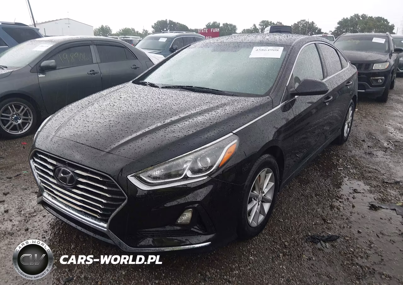 2019 Hyundai Sonata Se VIN:5NPE24AF7KH743626 - 2