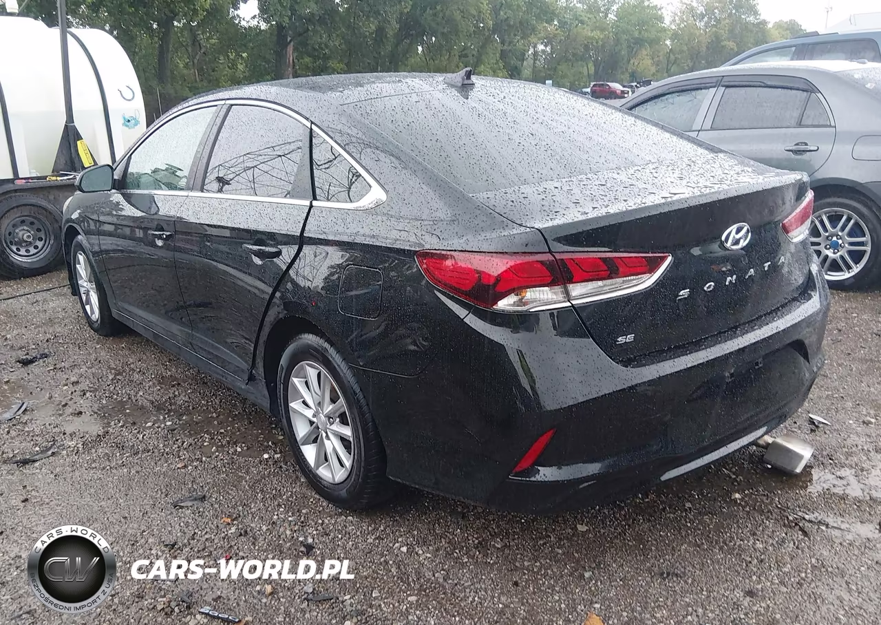 2019 Hyundai Sonata Se VIN:5NPE24AF7KH743626 - 3