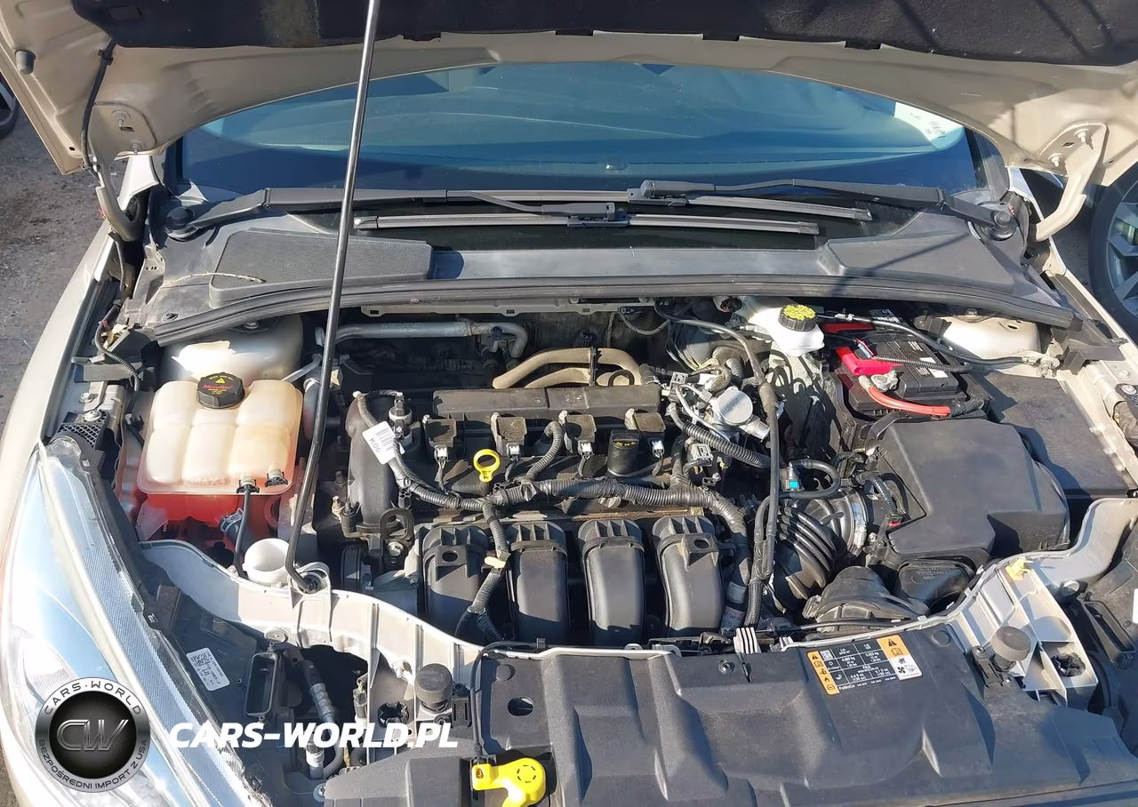 2018 Ford Focus Se VIN:1FADP3F20JL265420 - 10
