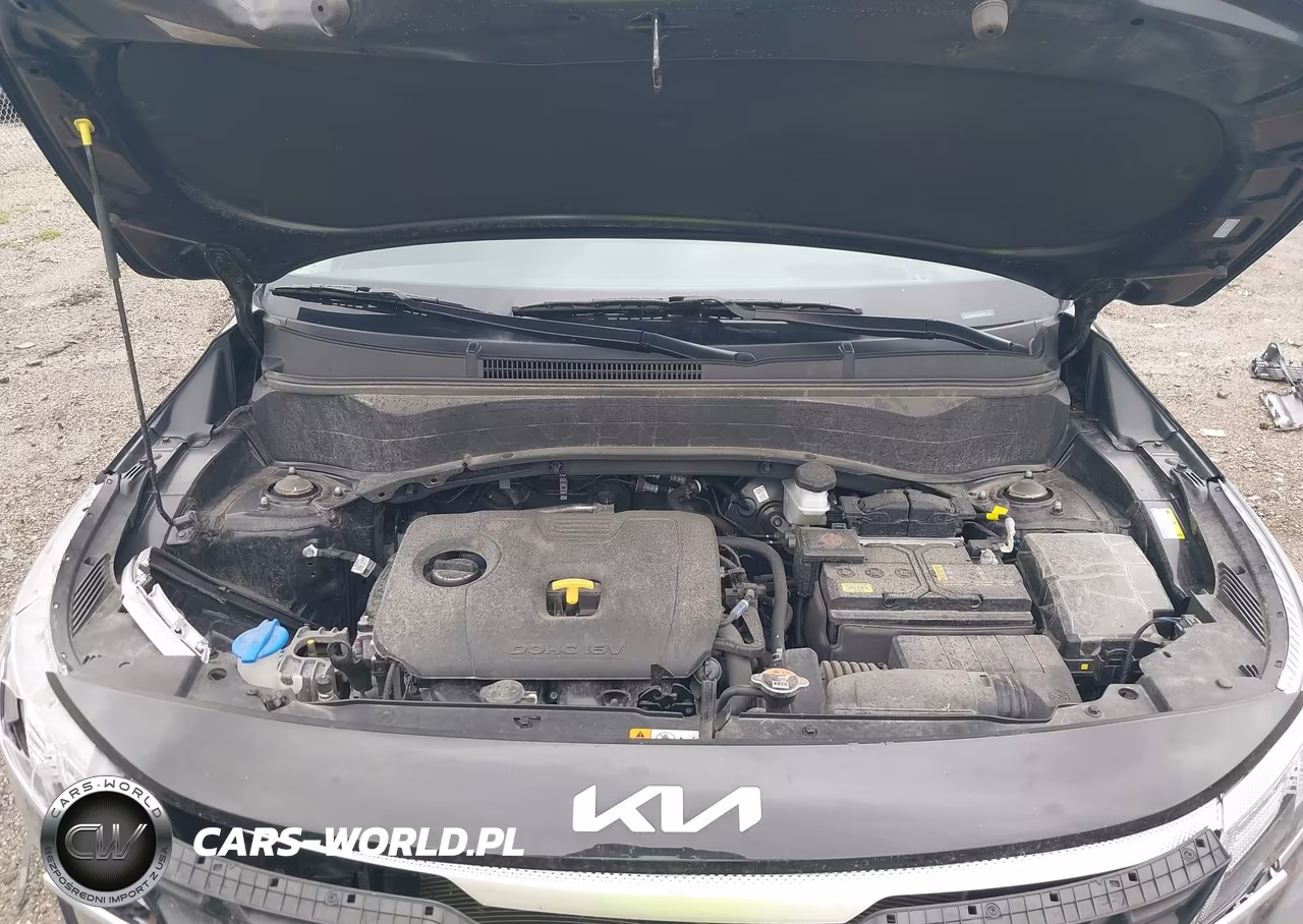 2024 Kia Seltos Lx VIN:KNDEPCAA3R7646700 - 10
