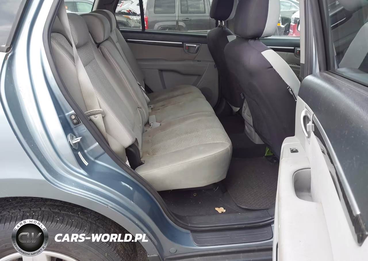 2009 Hyundai Santa Fe Gls VIN:5NMSG13D99H323324 - 8