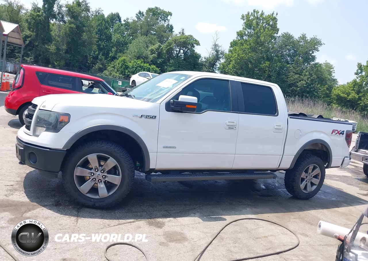 2014 Ford F-150 Fx4 VIN:1FTFW1ETXEKD13702 - 14