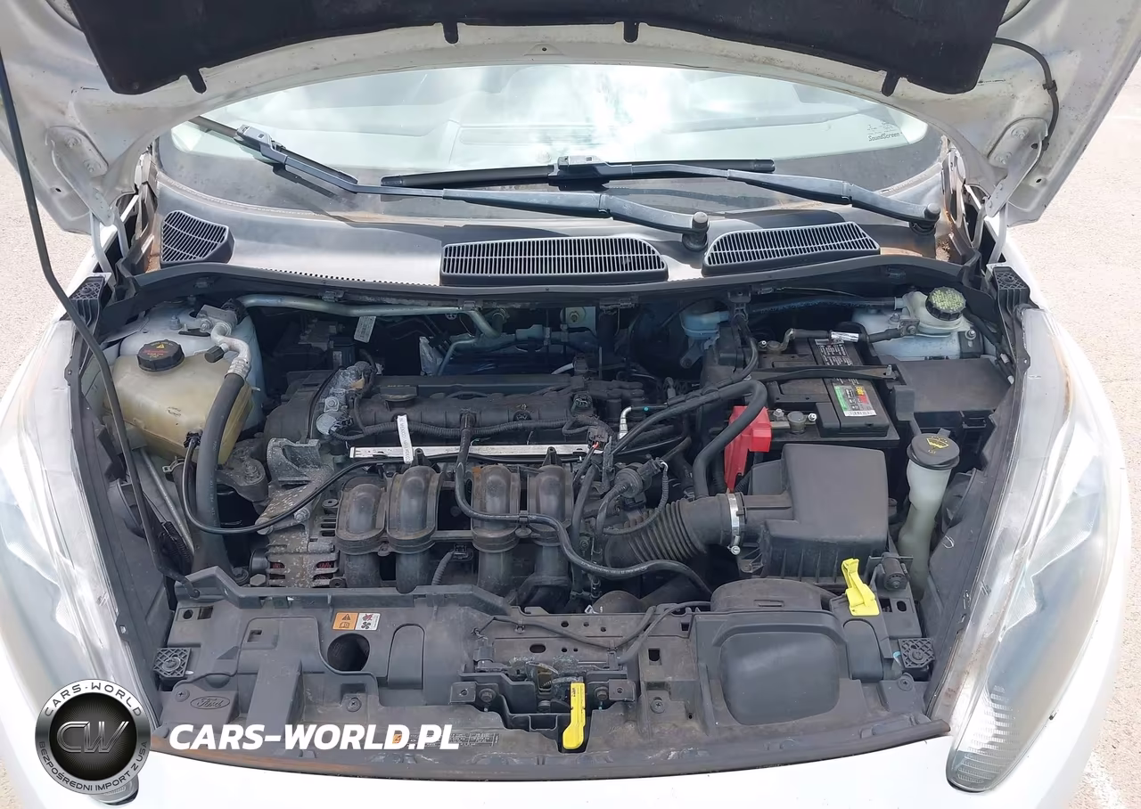 2014 Ford Fiesta Se VIN:3FADP4EJ5EM227569 - 10