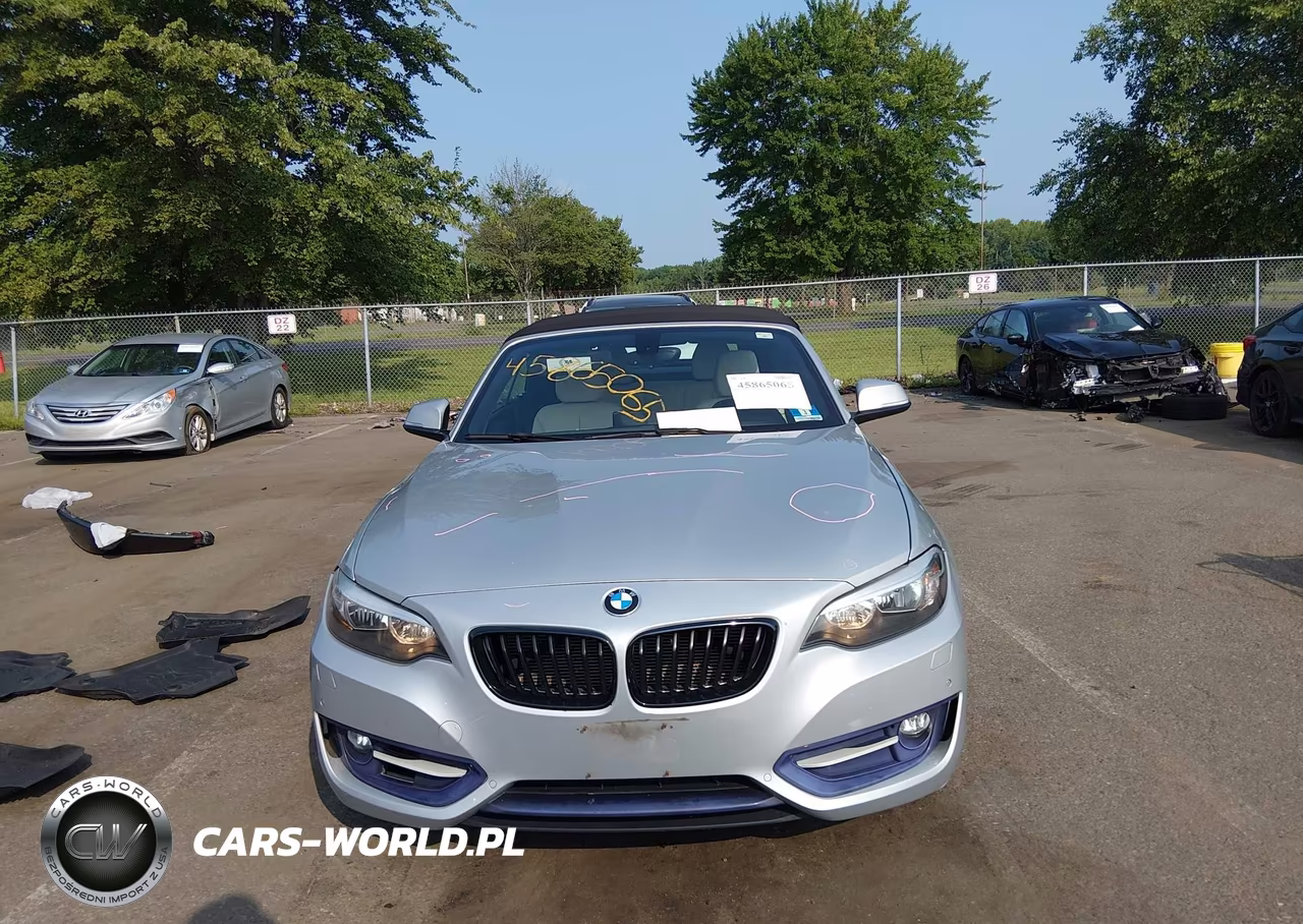 2016 BMW 228I xDrive VIN:WBA1L9C51GV325306 - 12