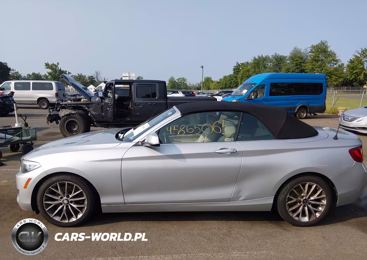2016 BMW 228I xDrive VIN:WBA1L9C51GV325306 - 13