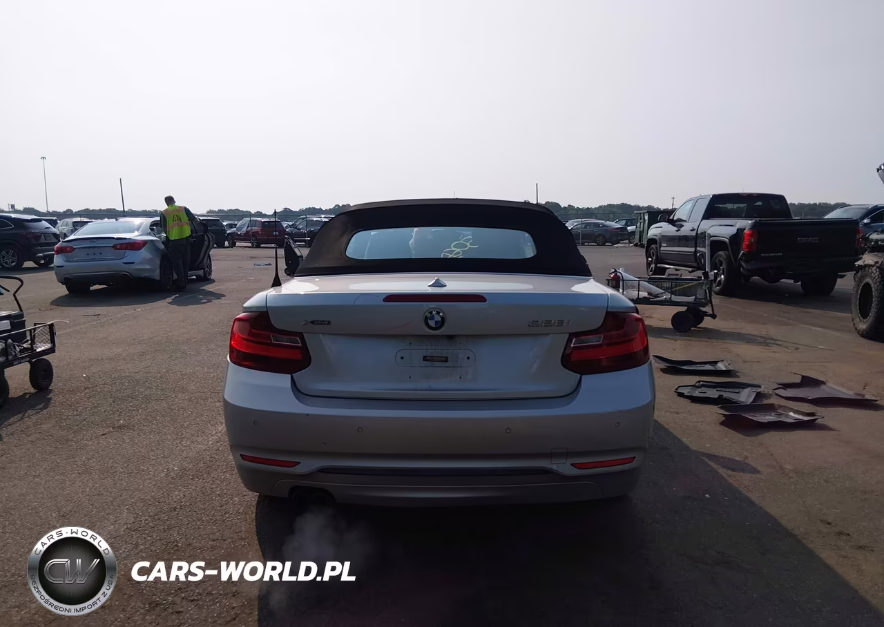 2016 BMW 228I xDrive VIN:WBA1L9C51GV325306 - 14