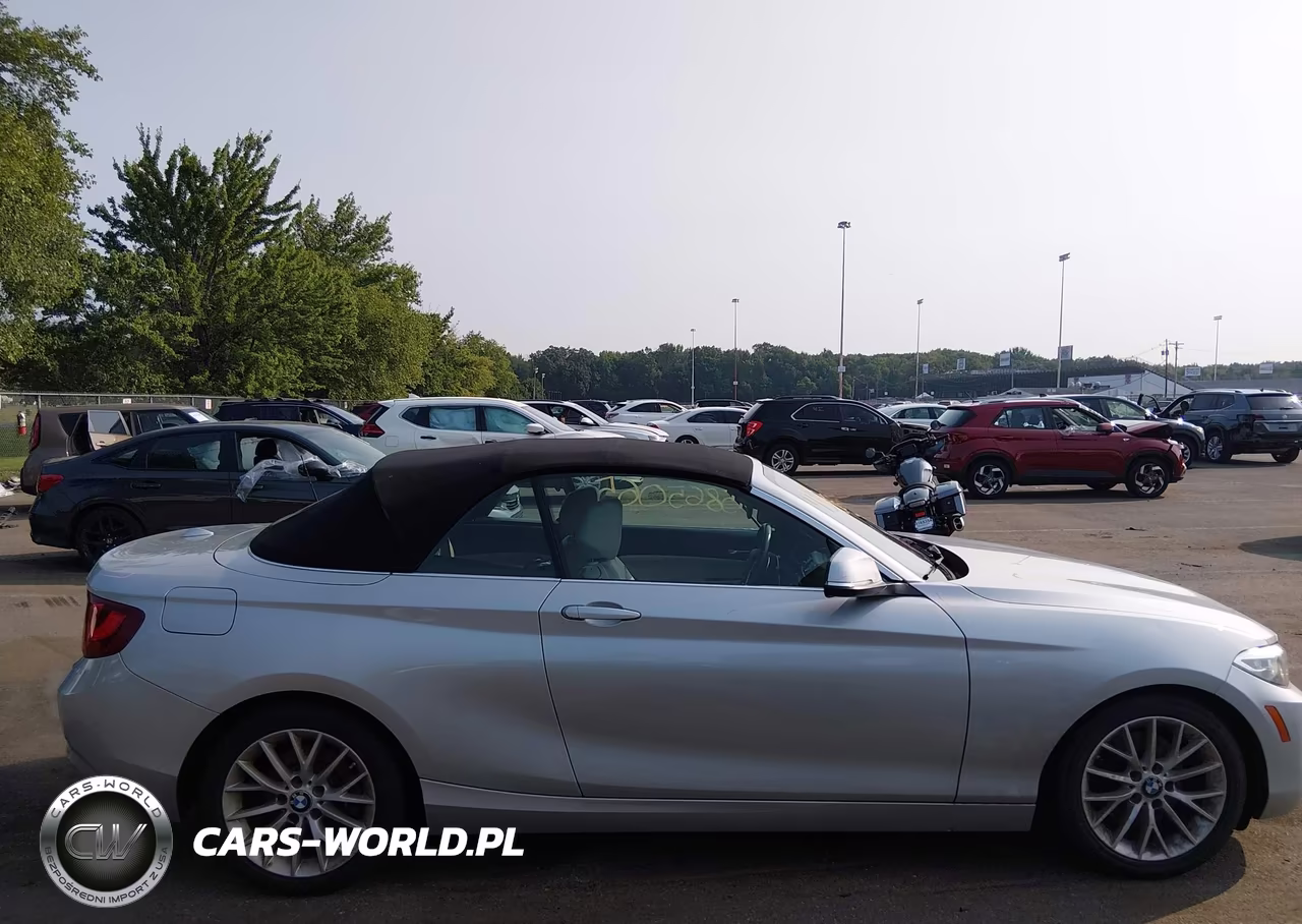 2016 BMW 228I xDrive VIN:WBA1L9C51GV325306 - 15