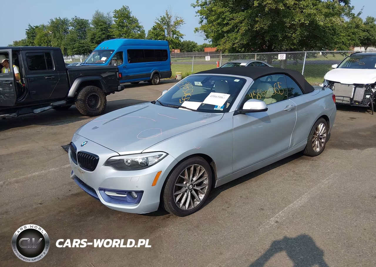 2016 BMW 228I xDrive VIN:WBA1L9C51GV325306 - 2