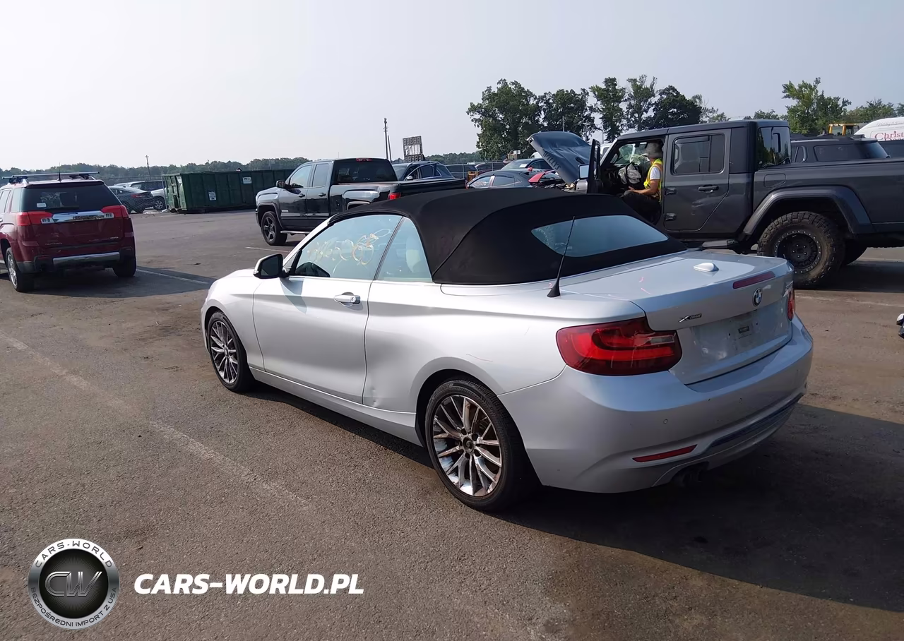 2016 BMW 228I xDrive VIN:WBA1L9C51GV325306 - 3
