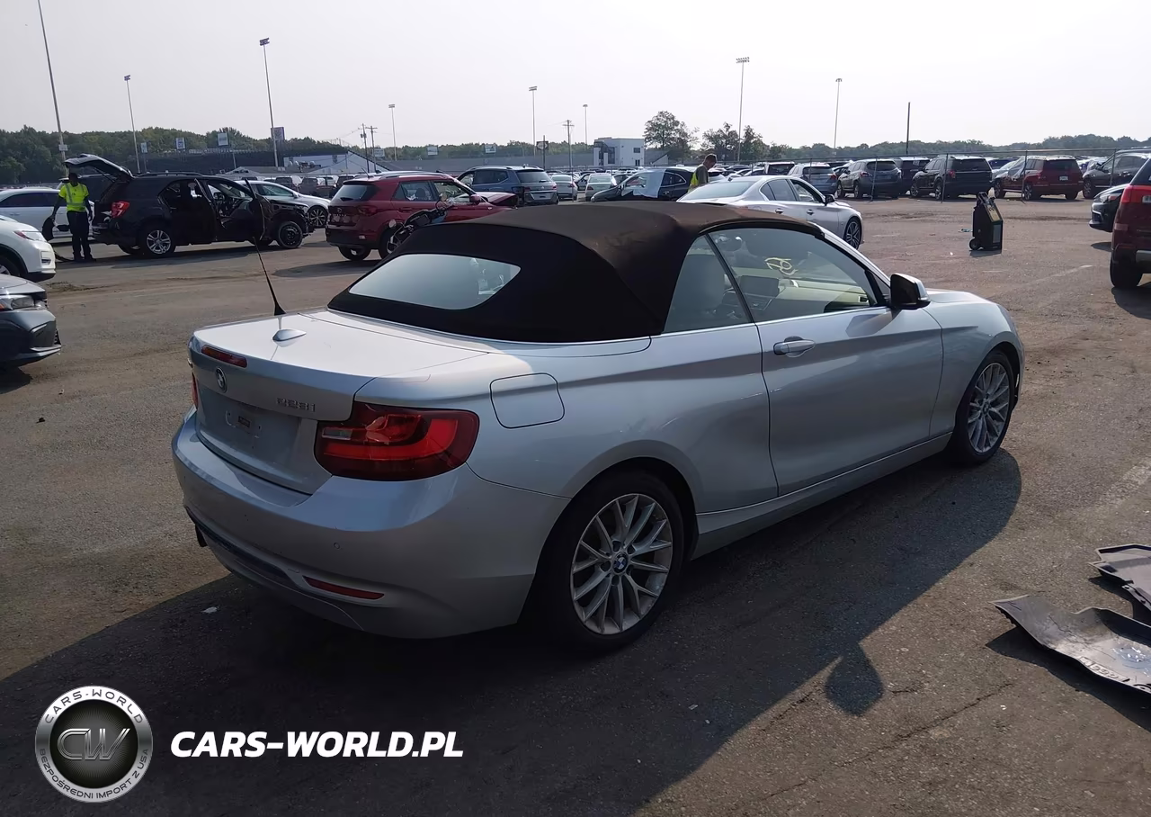 2016 BMW 228I xDrive VIN:WBA1L9C51GV325306 - 4