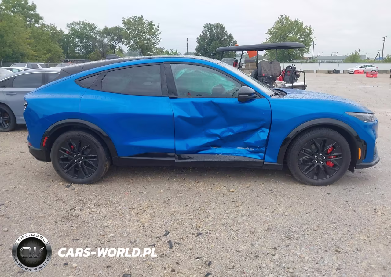 2025 Ford Mustang Mach-E Premium VIN:3FMTK3SU0SMA52779 - 13
