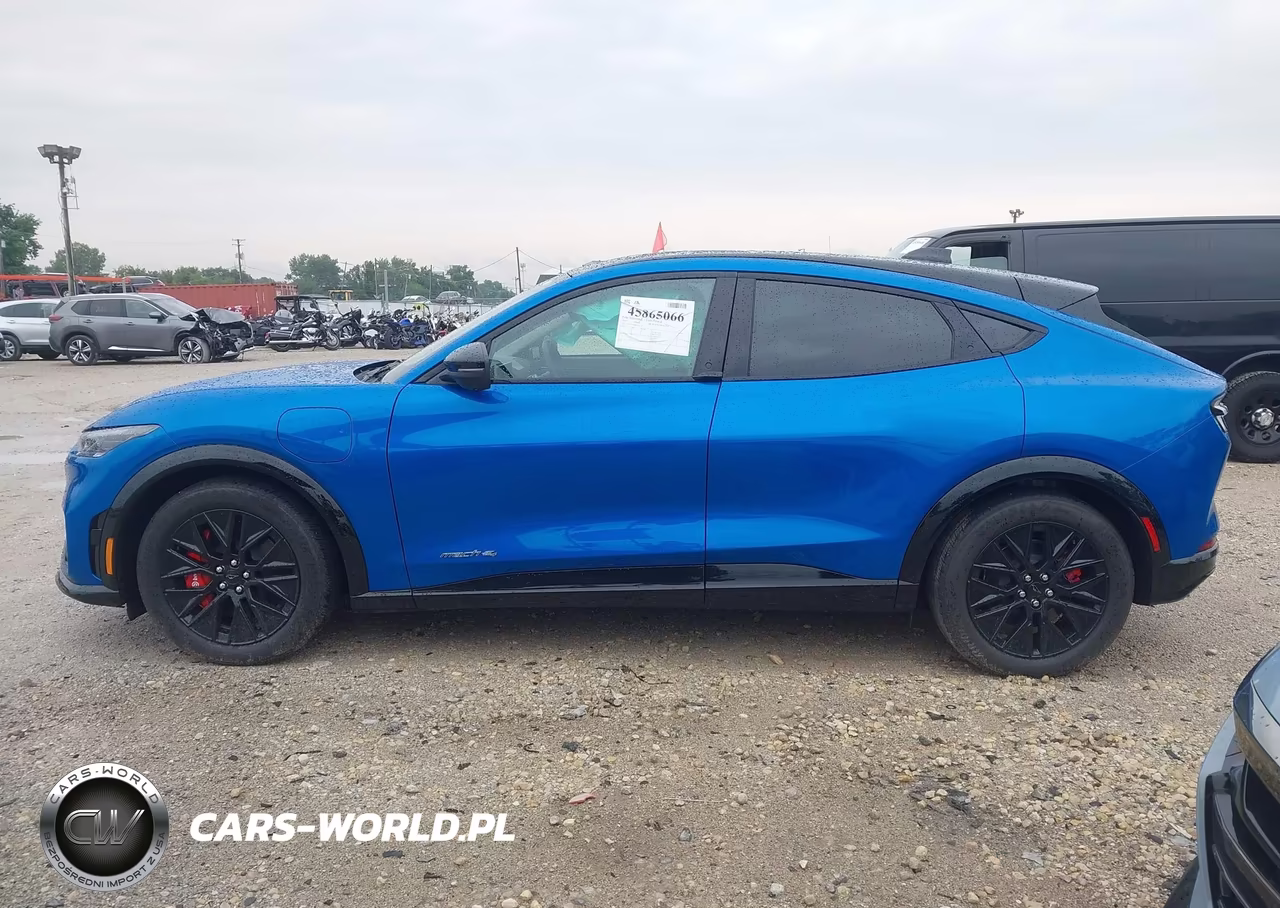 2025 Ford Mustang Mach-E Premium VIN:3FMTK3SU0SMA52779 - 14