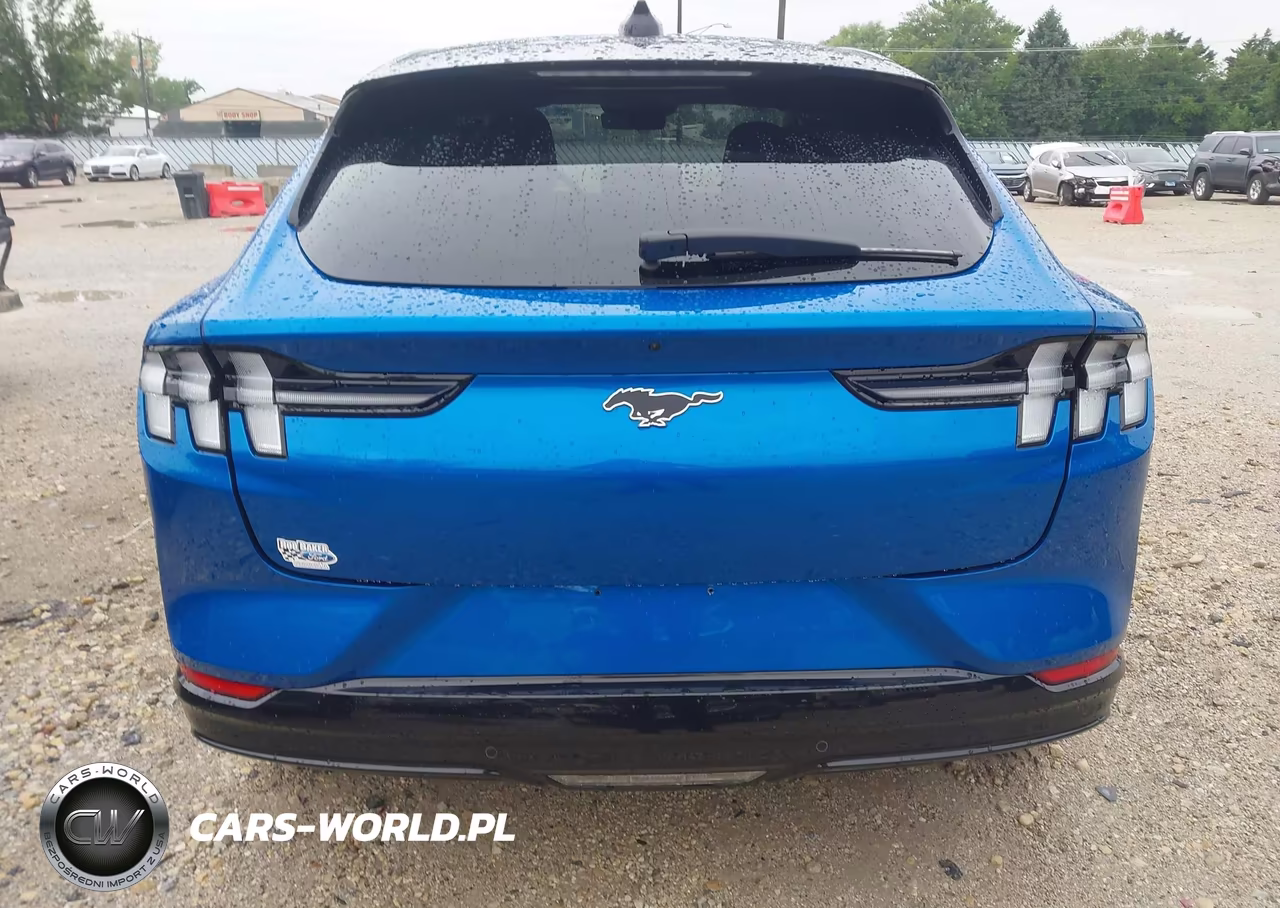 2025 Ford Mustang Mach-E Premium VIN:3FMTK3SU0SMA52779 - 16