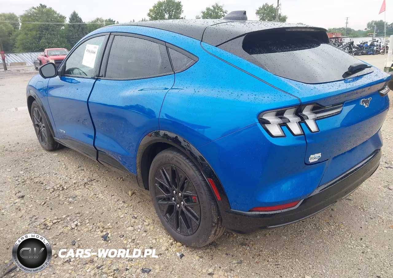 2025 Ford Mustang Mach-E Premium VIN:3FMTK3SU0SMA52779 - 3
