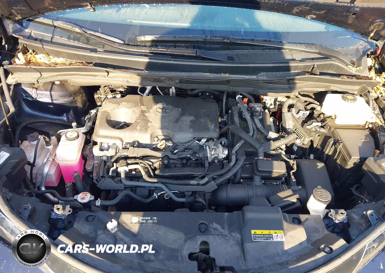 2024 Toyota Sienna Xle VIN:5TDJRKEC1RS211310 - 10
