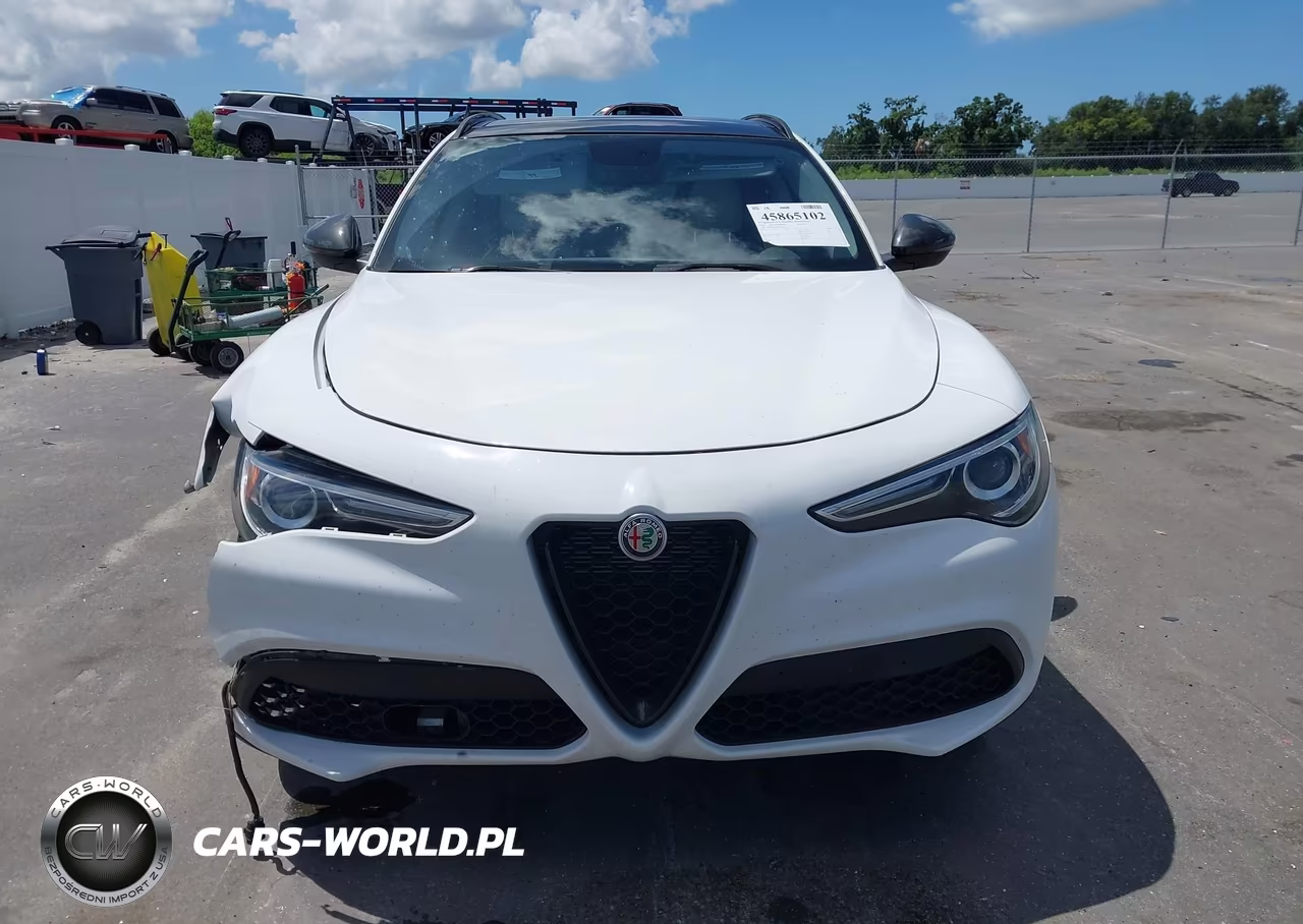 2019 Alfa Romeo Stelvio Rwd VIN:ZASPAJAN9K7C60393 - 13