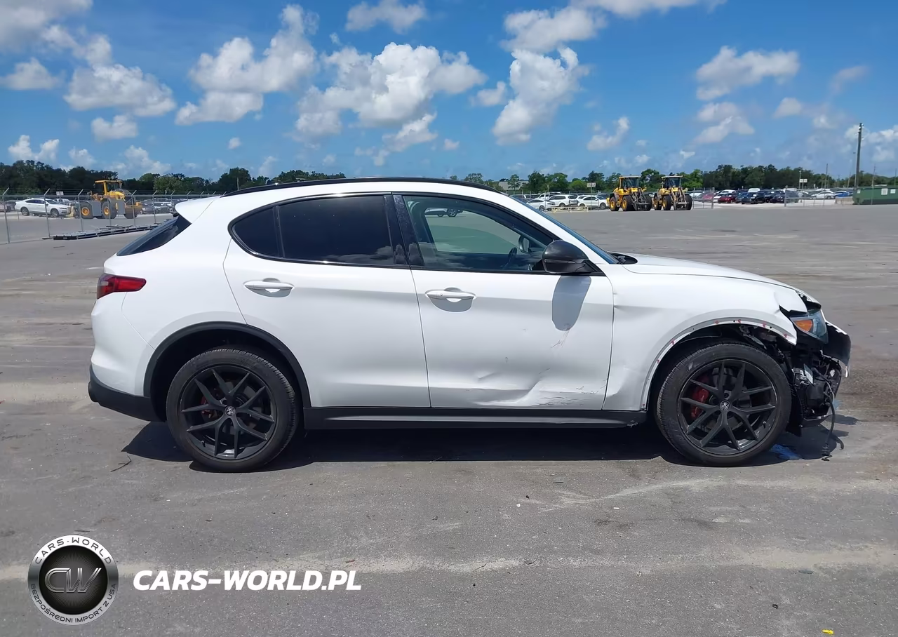 2019 Alfa Romeo Stelvio Rwd VIN:ZASPAJAN9K7C60393 - 14