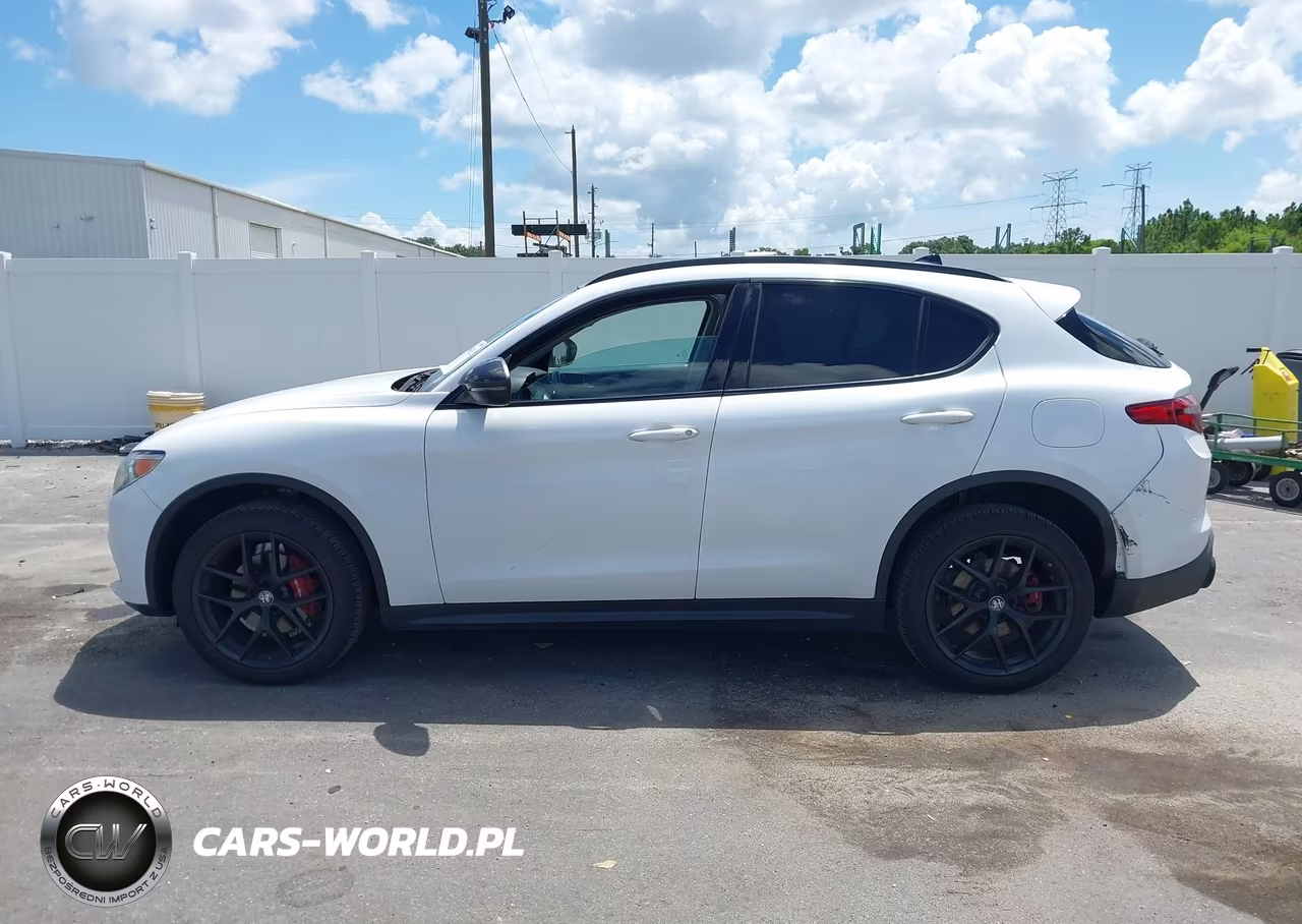 2019 Alfa Romeo Stelvio Rwd VIN:ZASPAJAN9K7C60393 - 15