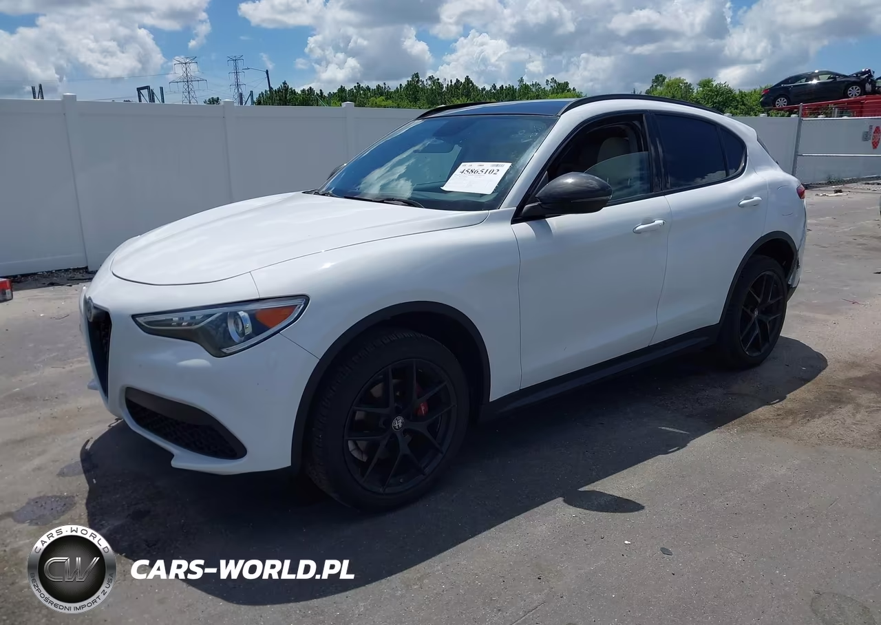 2019 Alfa Romeo Stelvio Rwd VIN:ZASPAJAN9K7C60393 - 2