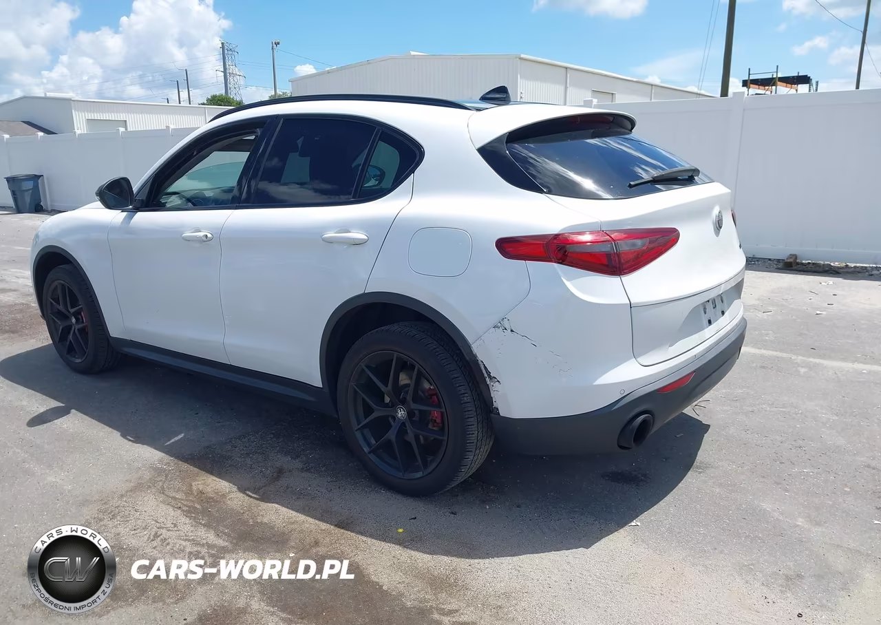 2019 Alfa Romeo Stelvio Rwd VIN:ZASPAJAN9K7C60393 - 3