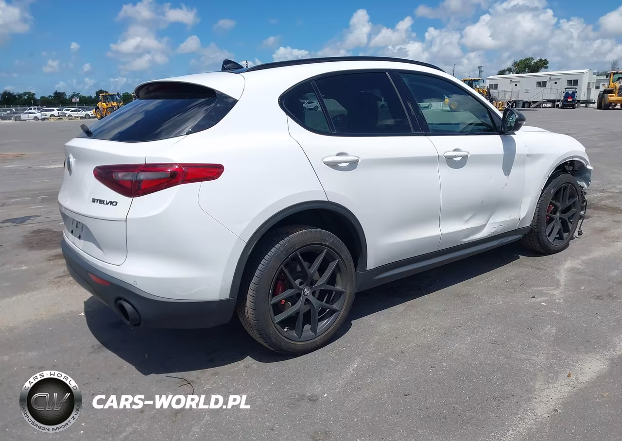 2019 Alfa Romeo Stelvio Rwd VIN:ZASPAJAN9K7C60393 - 4