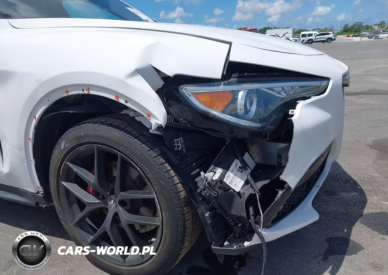 2019 Alfa Romeo Stelvio Rwd VIN:ZASPAJAN9K7C60393 - 6