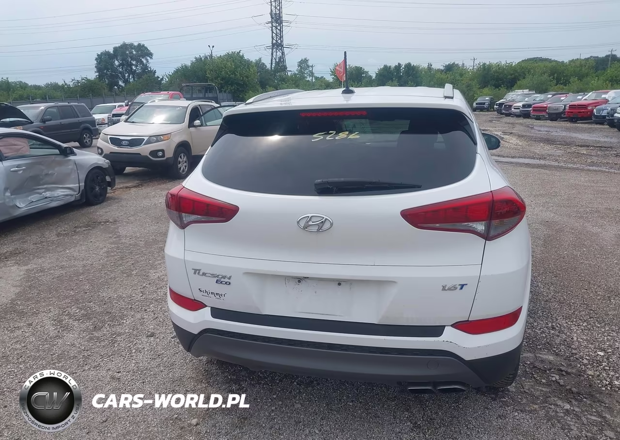 2016 Hyundai Tucson Eco VIN:KM8J33A20GU153988 - 16