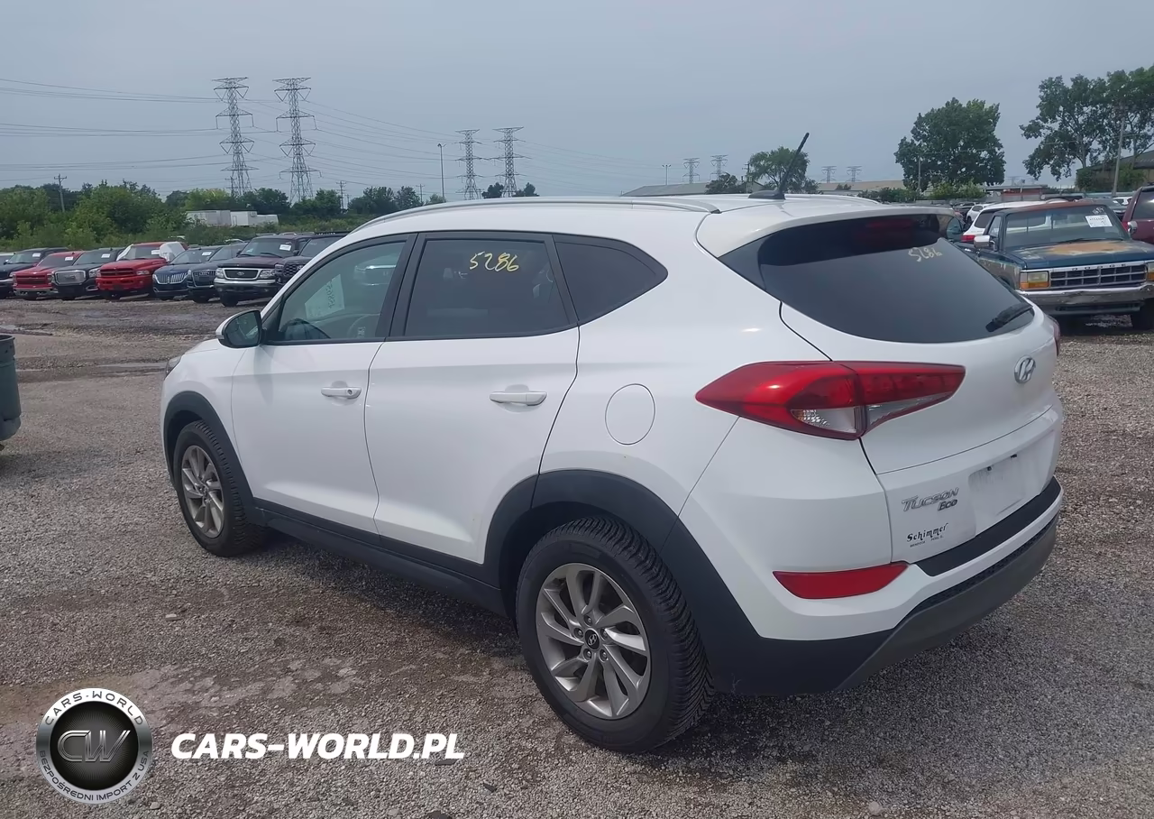 2016 Hyundai Tucson Eco VIN:KM8J33A20GU153988 - 3