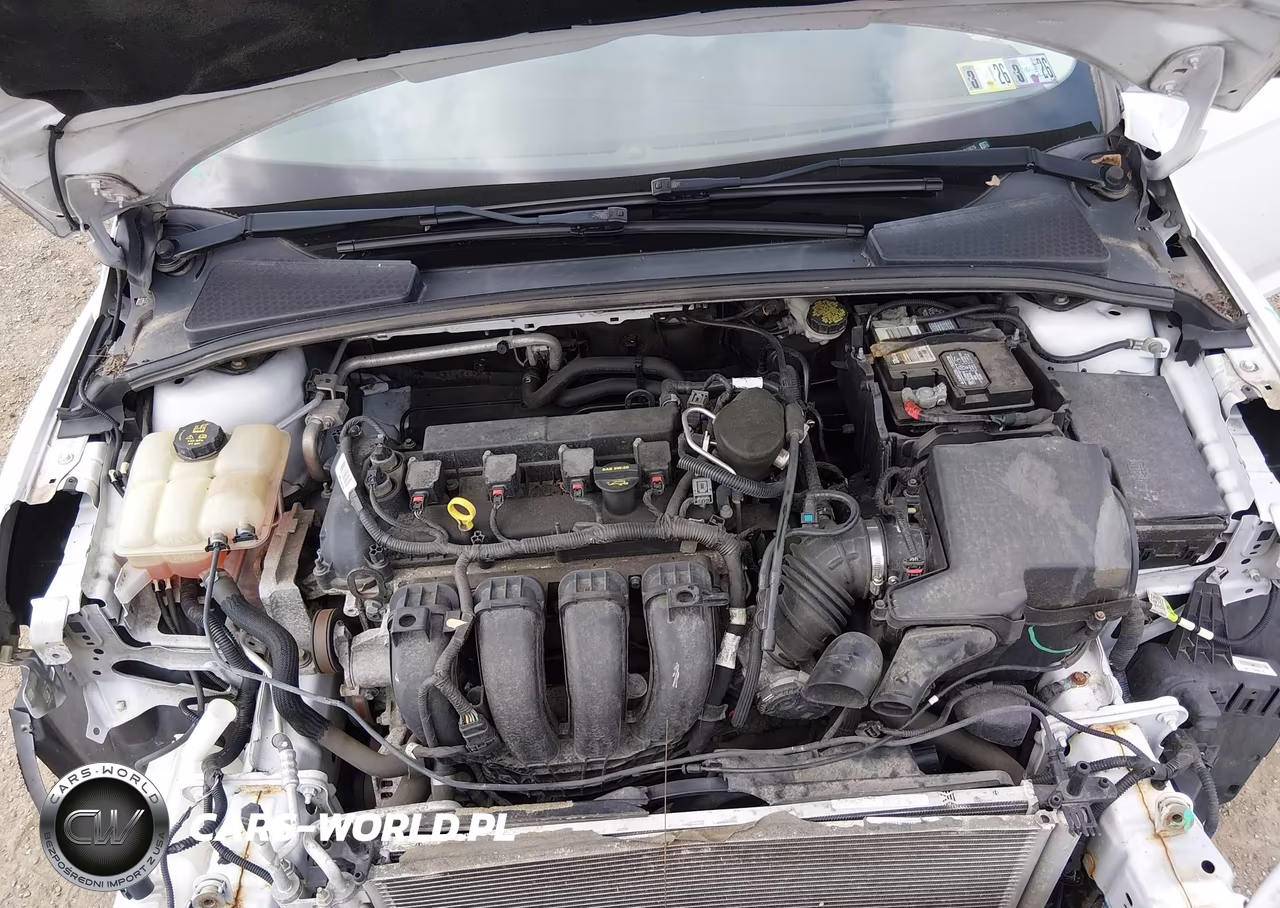 2014 Ford Focus Se VIN:1FADP3K21EL312675 - 10