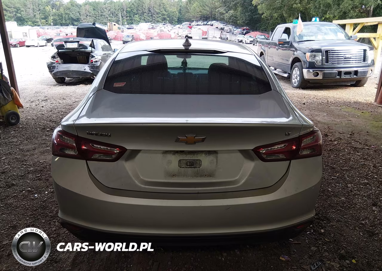 2019 Chevrolet Malibu Lt VIN:1G1ZD5ST6KF112102 - 17